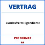 Bundesfreiwilligendienst Vertrag PDF