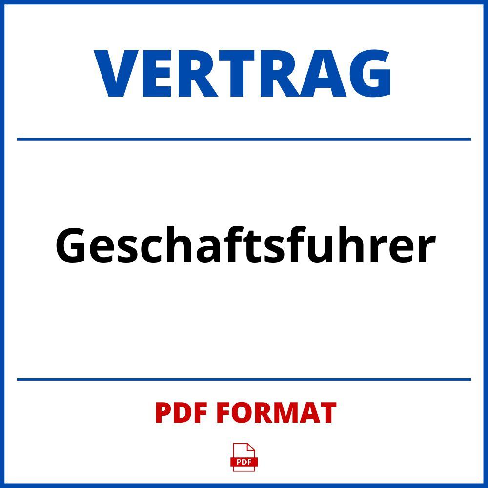 Geschäftsführer Vertrag